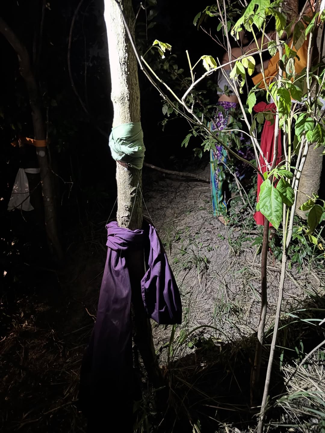 นท พนายางกูร