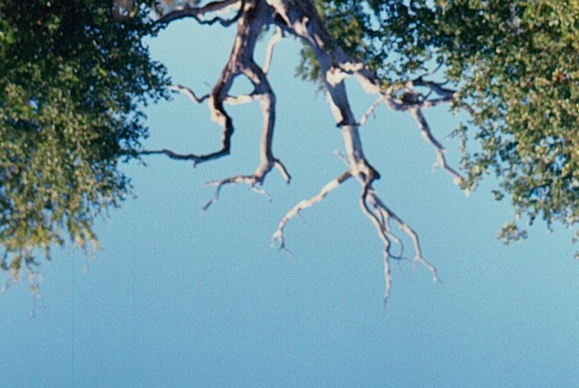 นท พนายางกูร