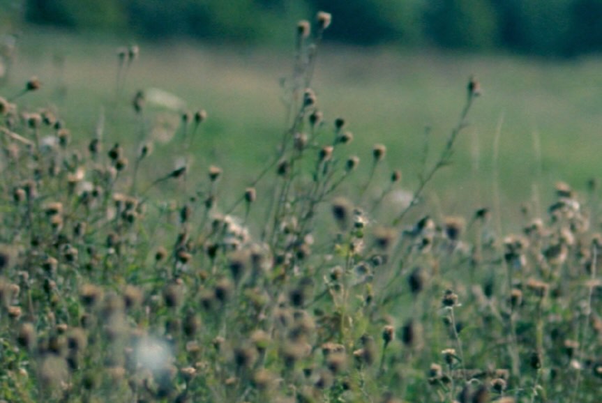 นท พนายางกูร