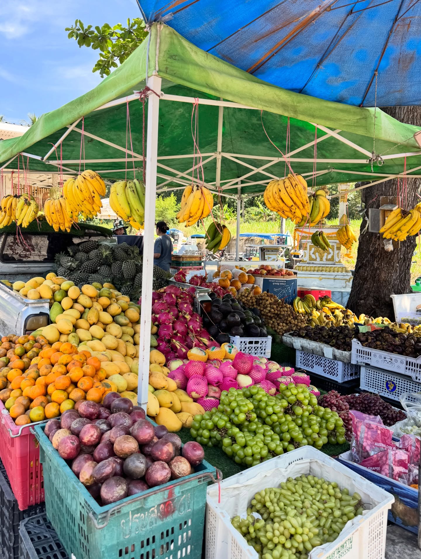 นท พนายางกูร