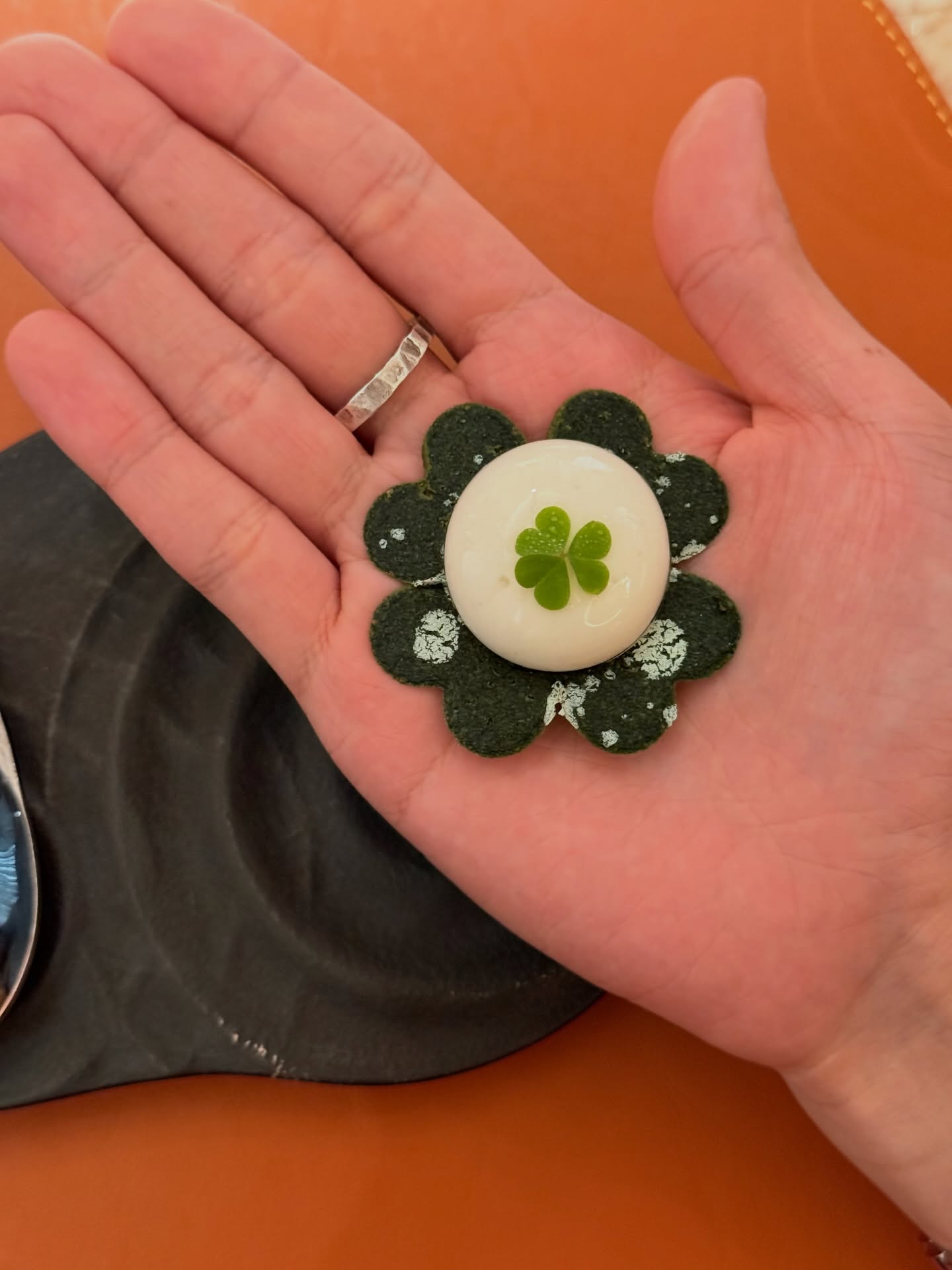 นท พนายางกูร