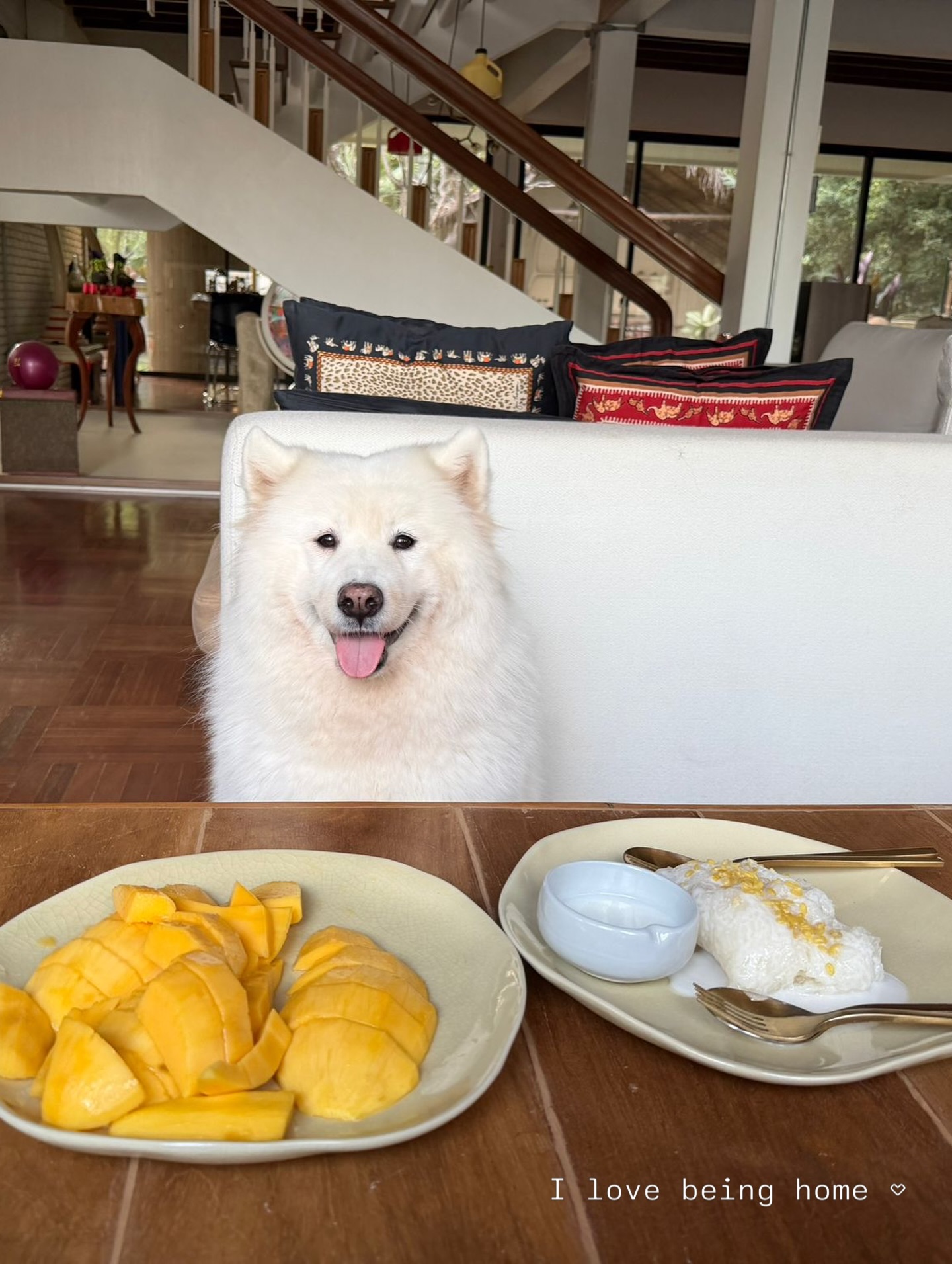 นท พนายางกูร