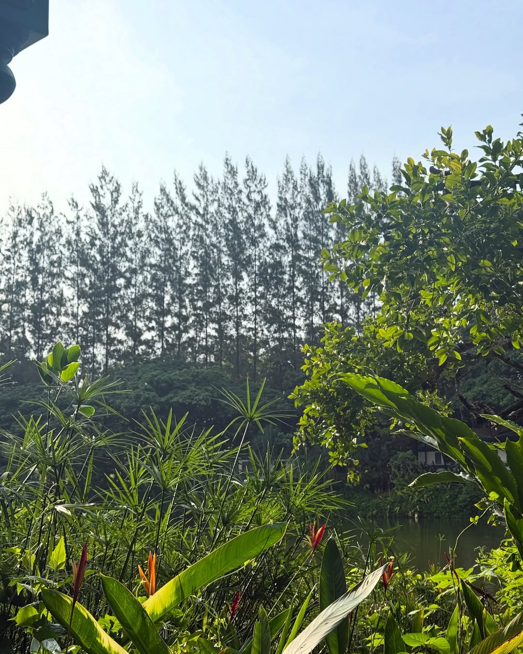 กองทัพ พีค