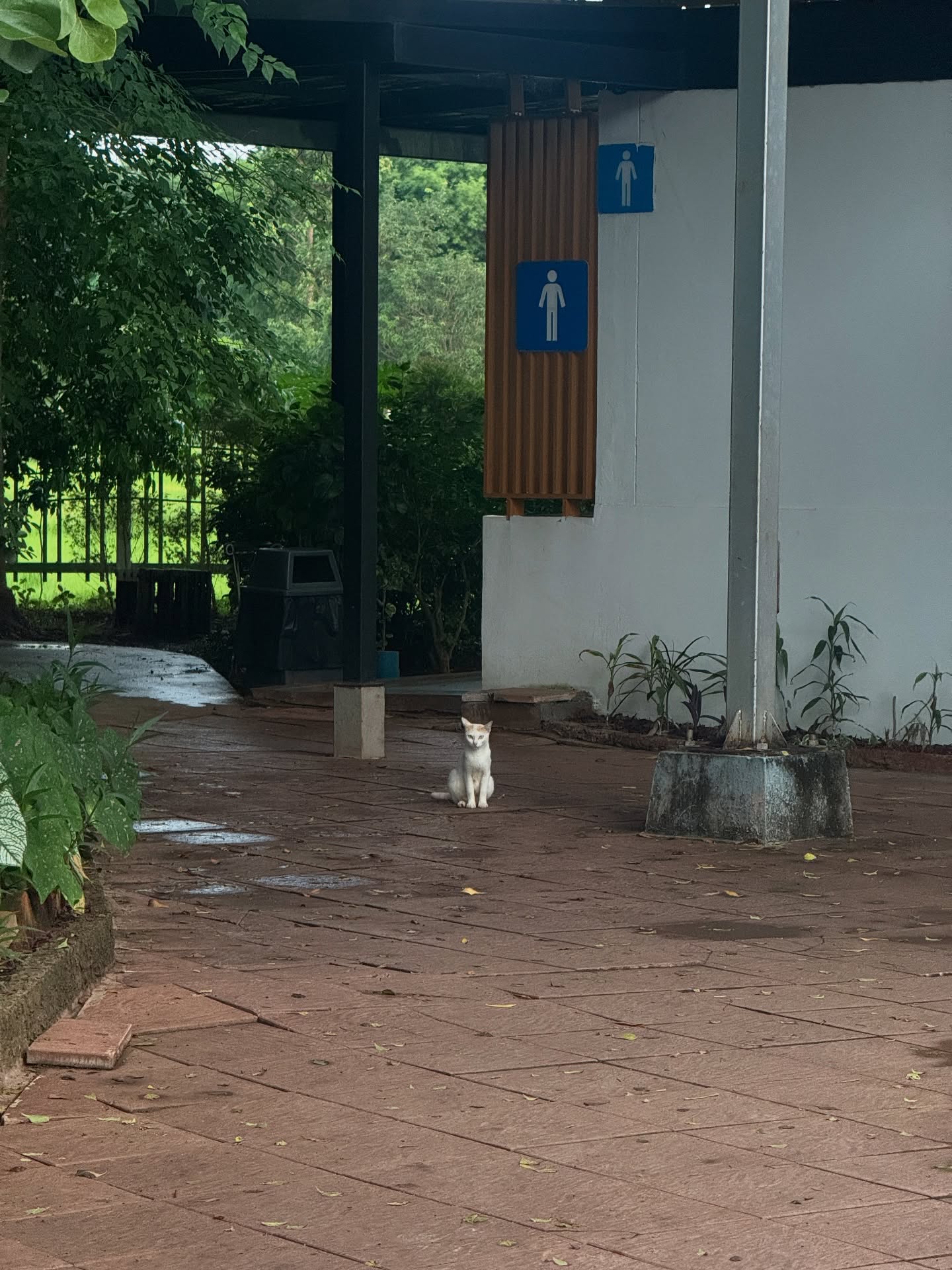 กองทัพ พีค