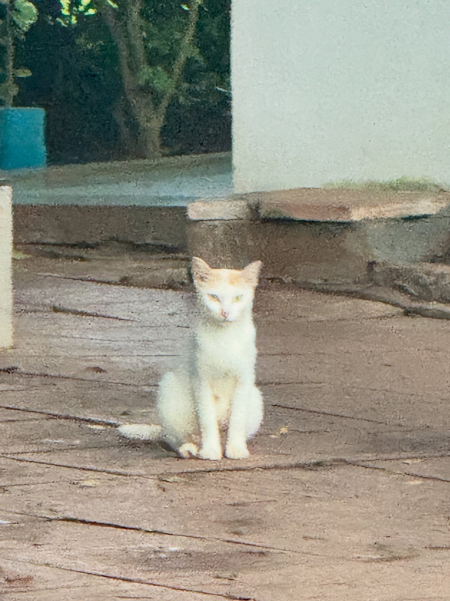 กองทัพ พีค