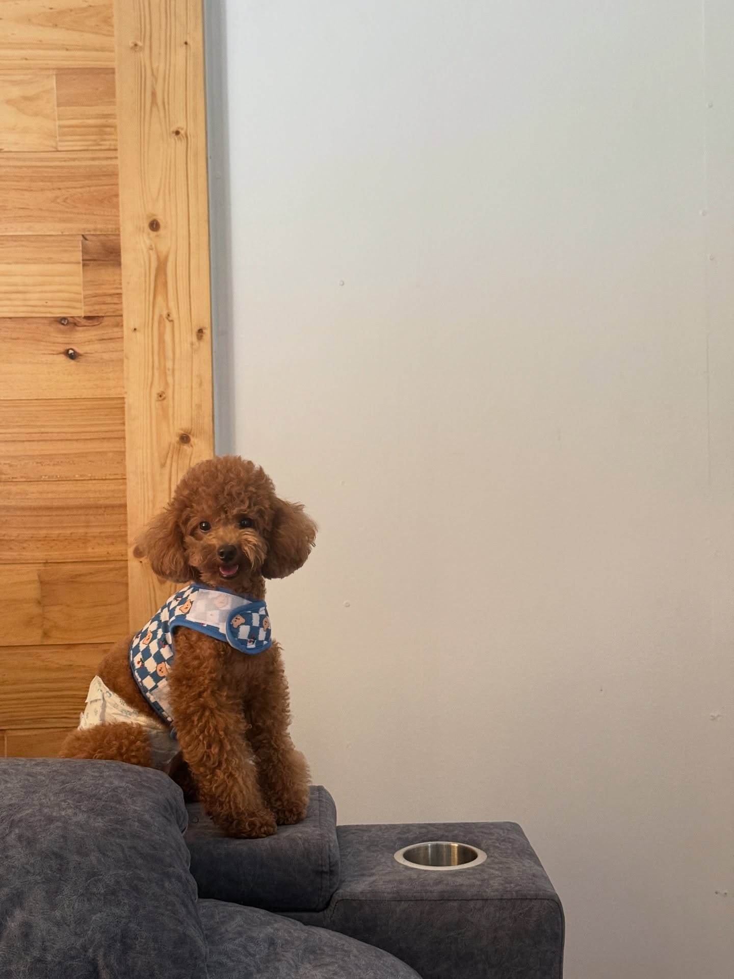 กองทัพ พีค