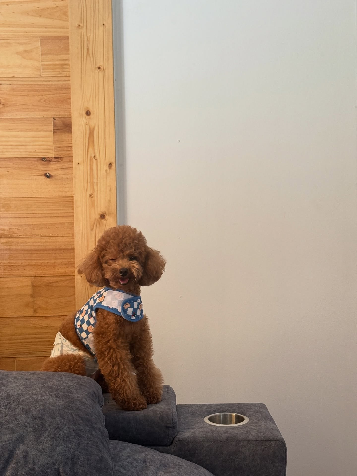 กองทัพ พีค