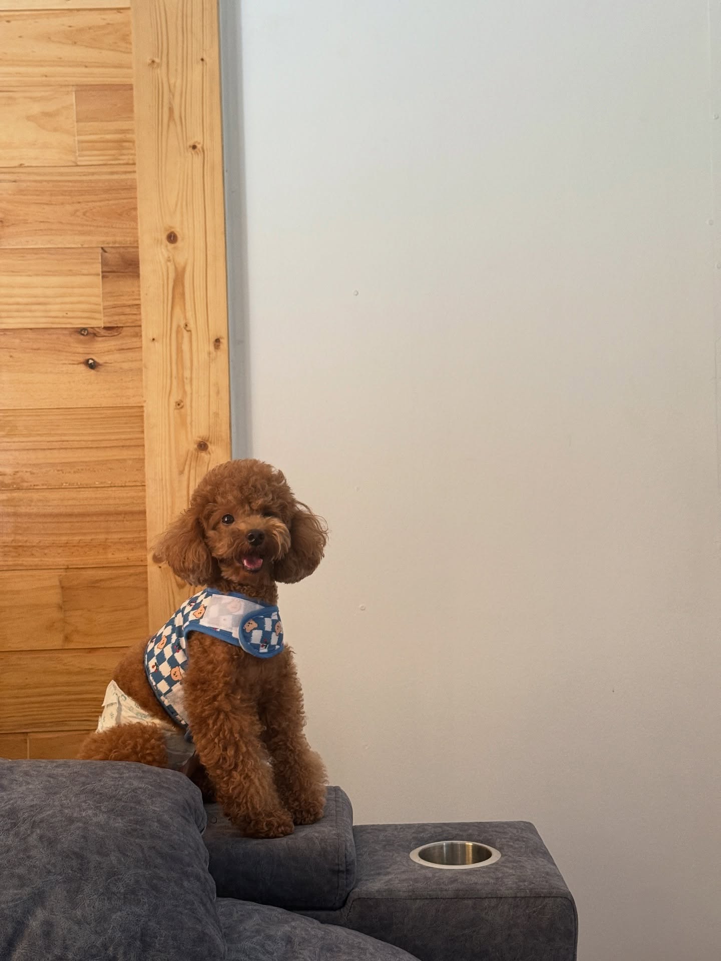 กองทัพ พีค