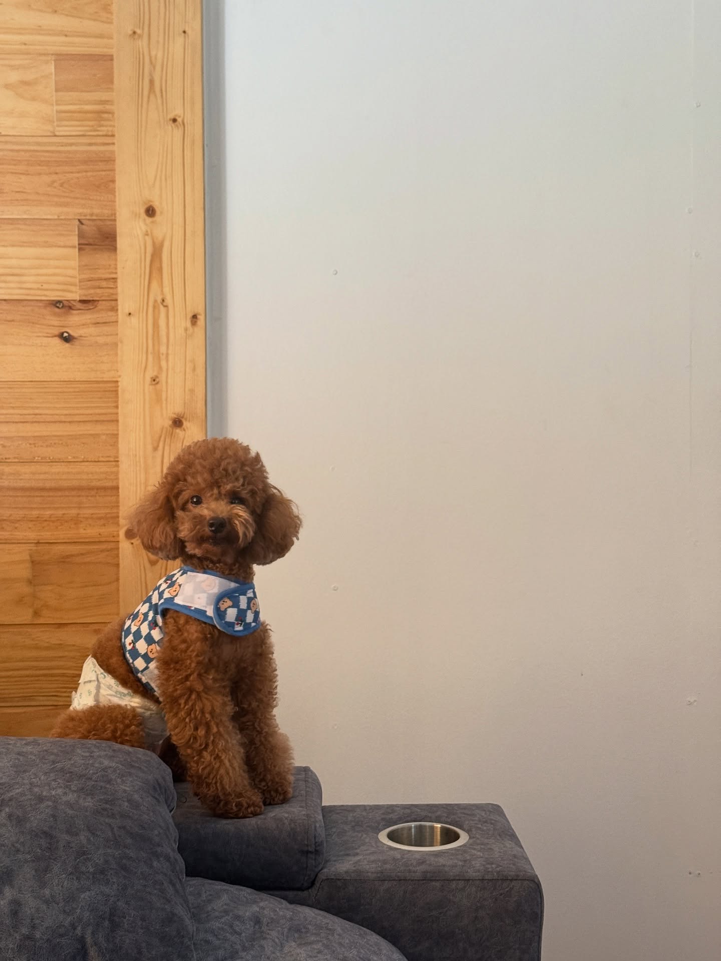 กองทัพ พีค