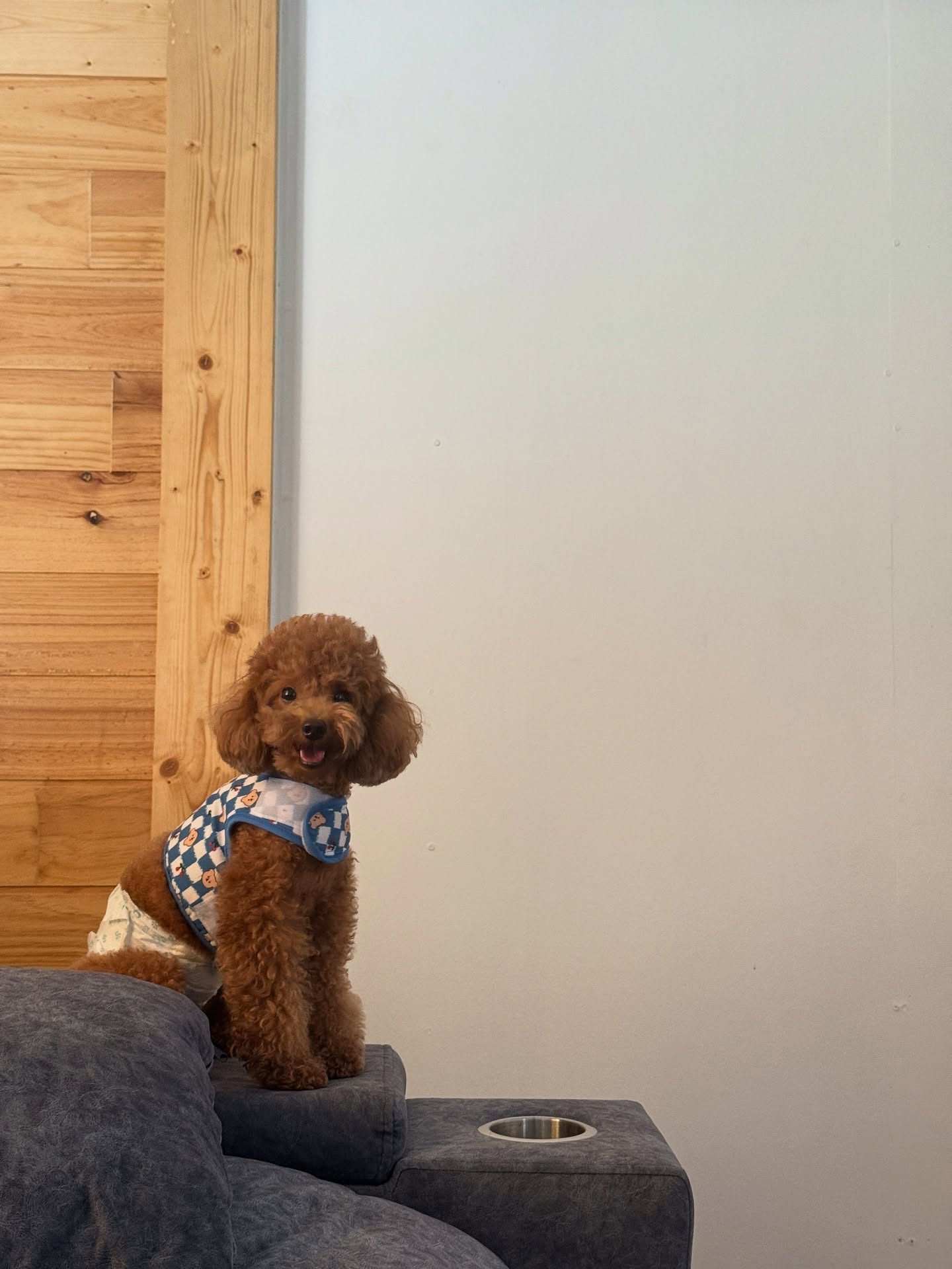 กองทัพ พีค