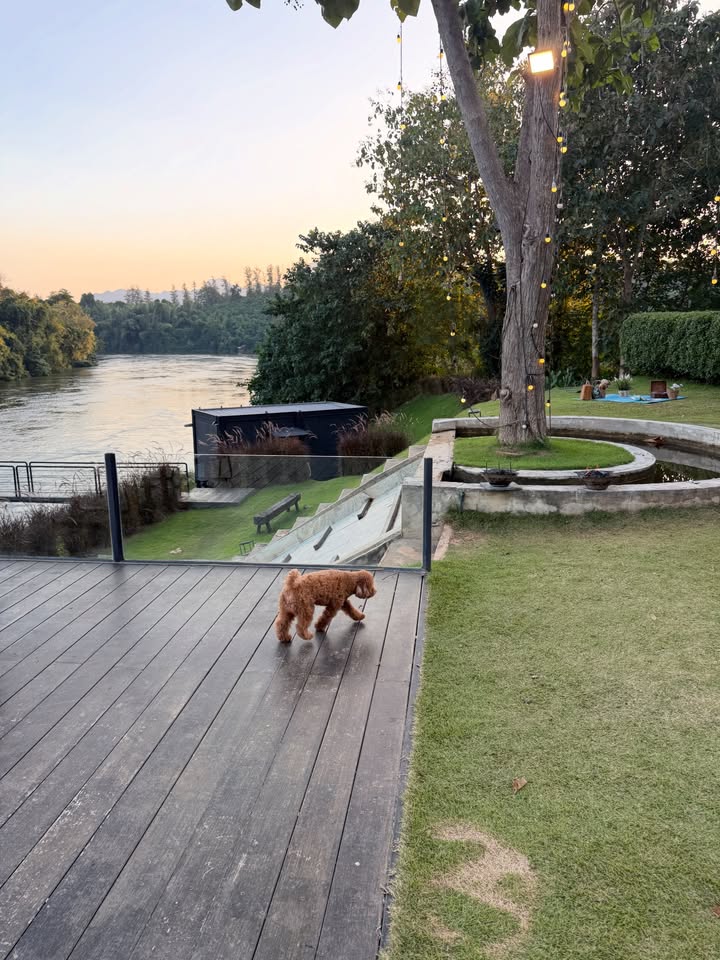 กองทัพ พีค