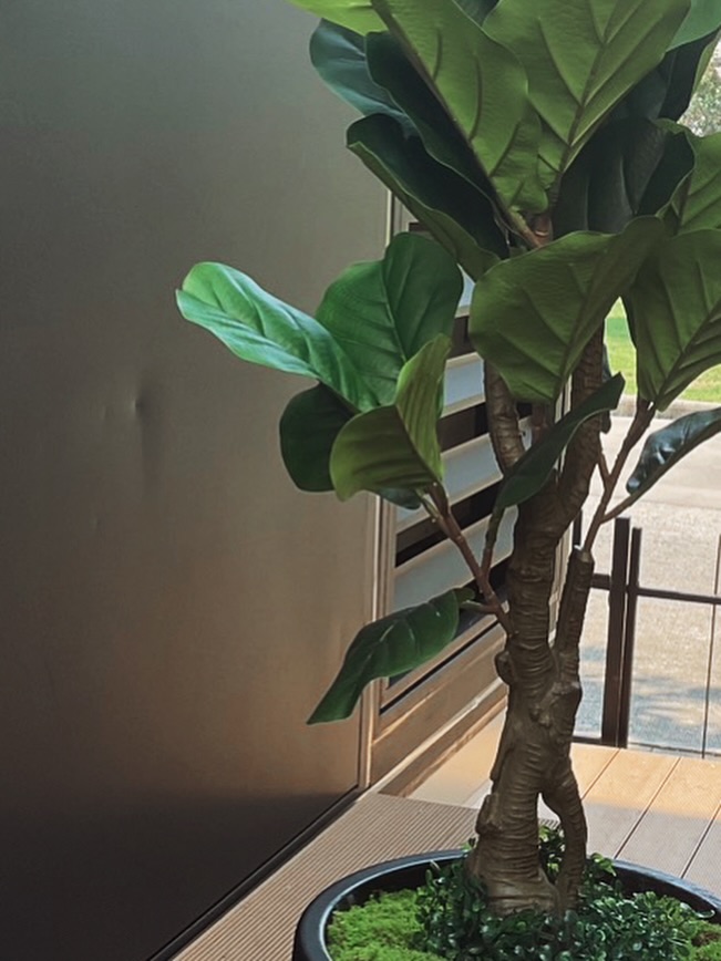 กองทัพ พีค