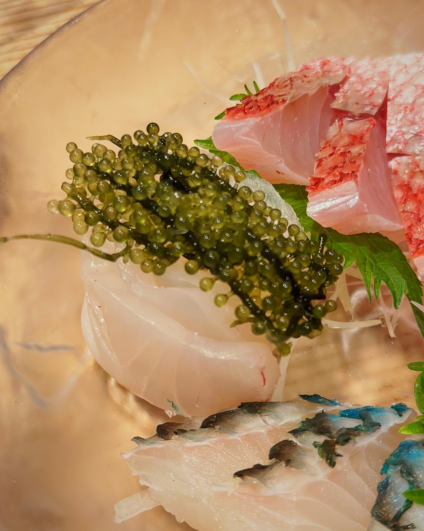 จ๋า - ยศสินี ณ นคร