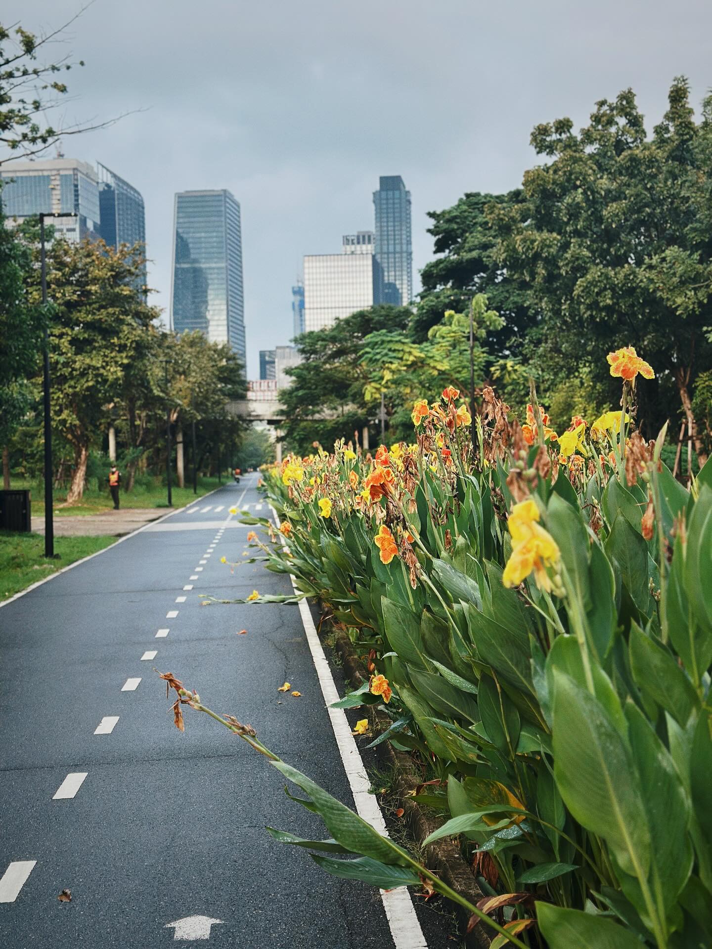 จ๋า - ยศสินี ณ นคร