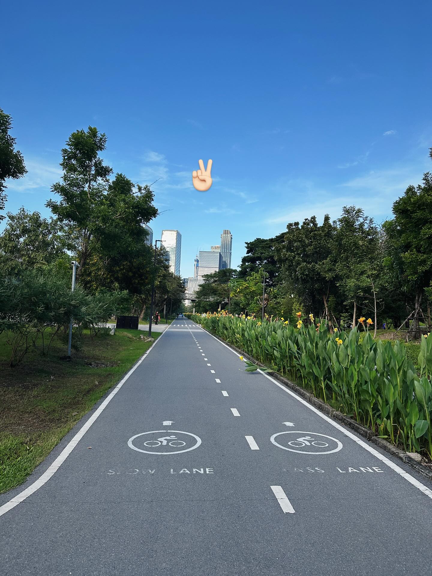 จ๋า - ยศสินี ณ นคร