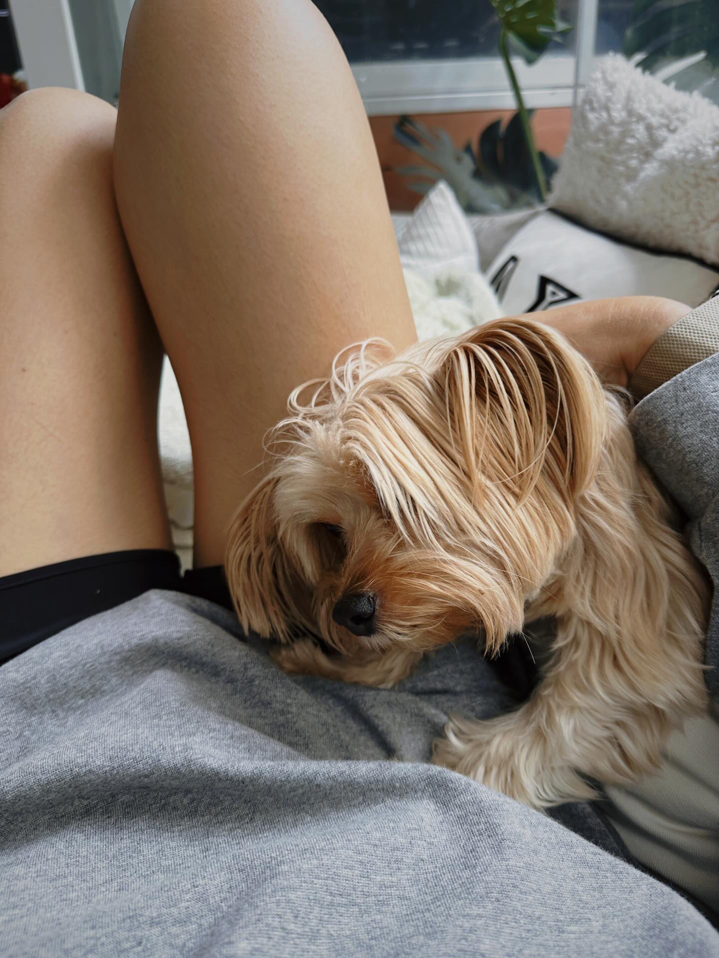 จ๋า - ยศสินี ณ นคร