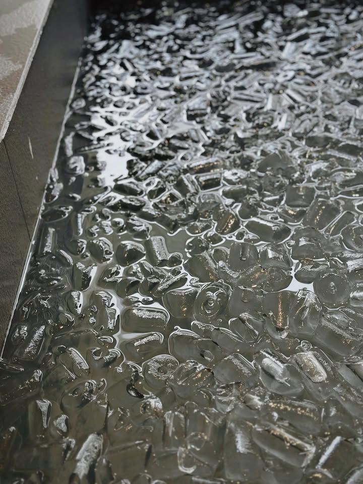 จ๋า - ยศสินี ณ นคร