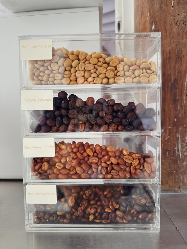 จ๋า - ยศสินี ณ นคร