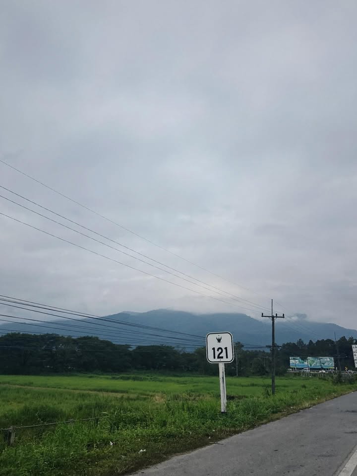 จ๋า - ยศสินี ณ นคร