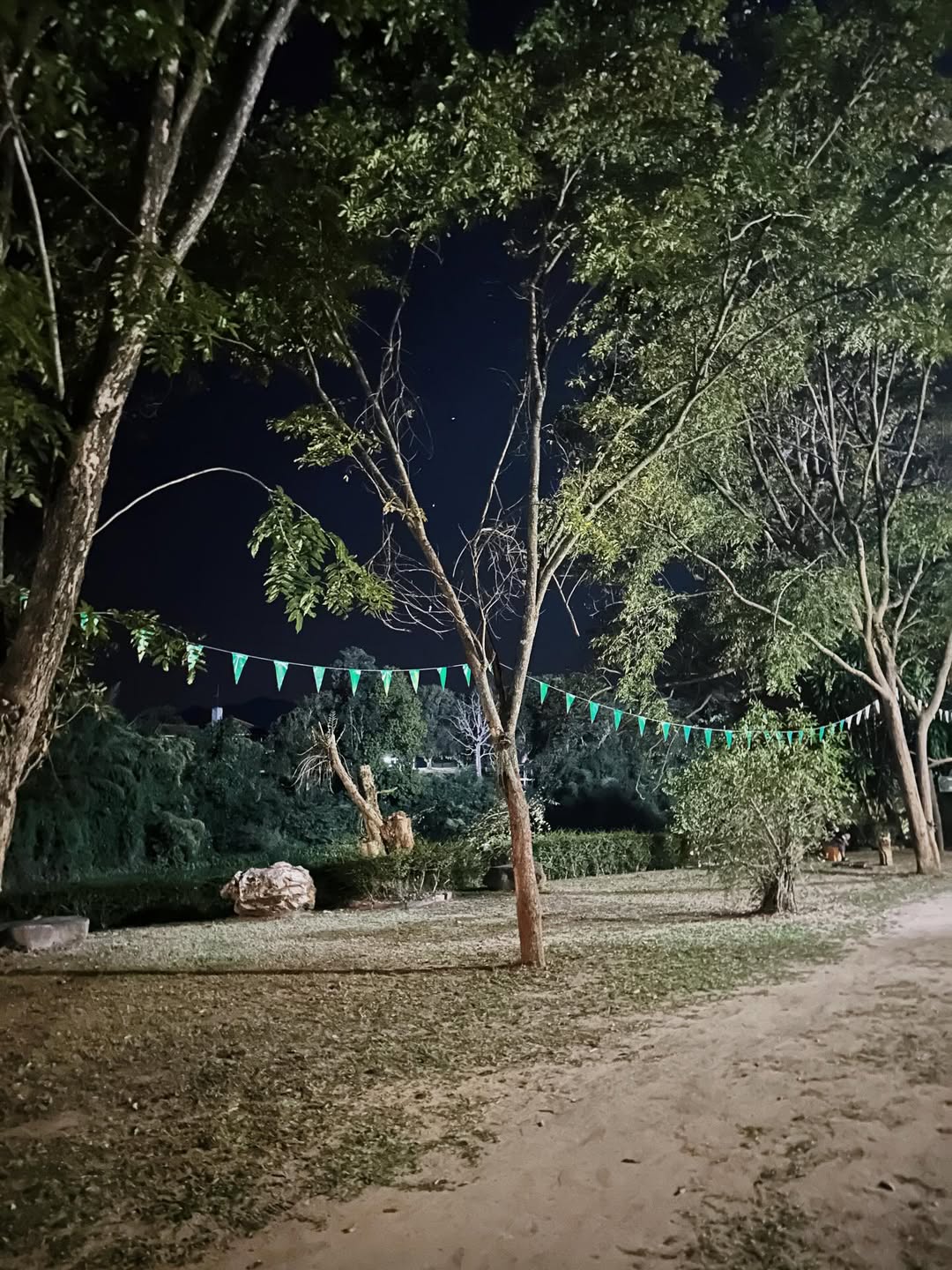 จ๋า - ยศสินี ณ นคร