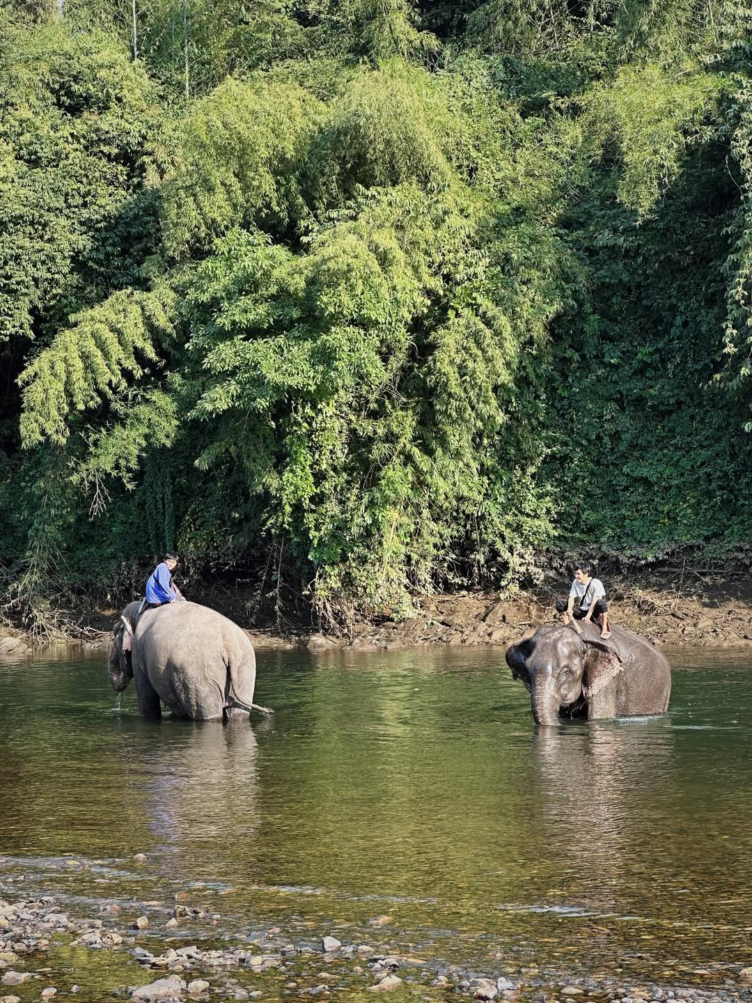 จ๋า - ยศสินี ณ นคร