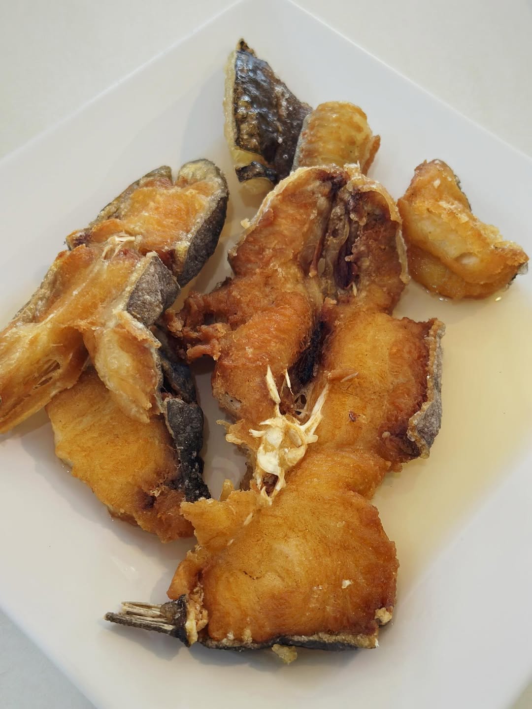 จ๋า - ยศสินี ณ นคร