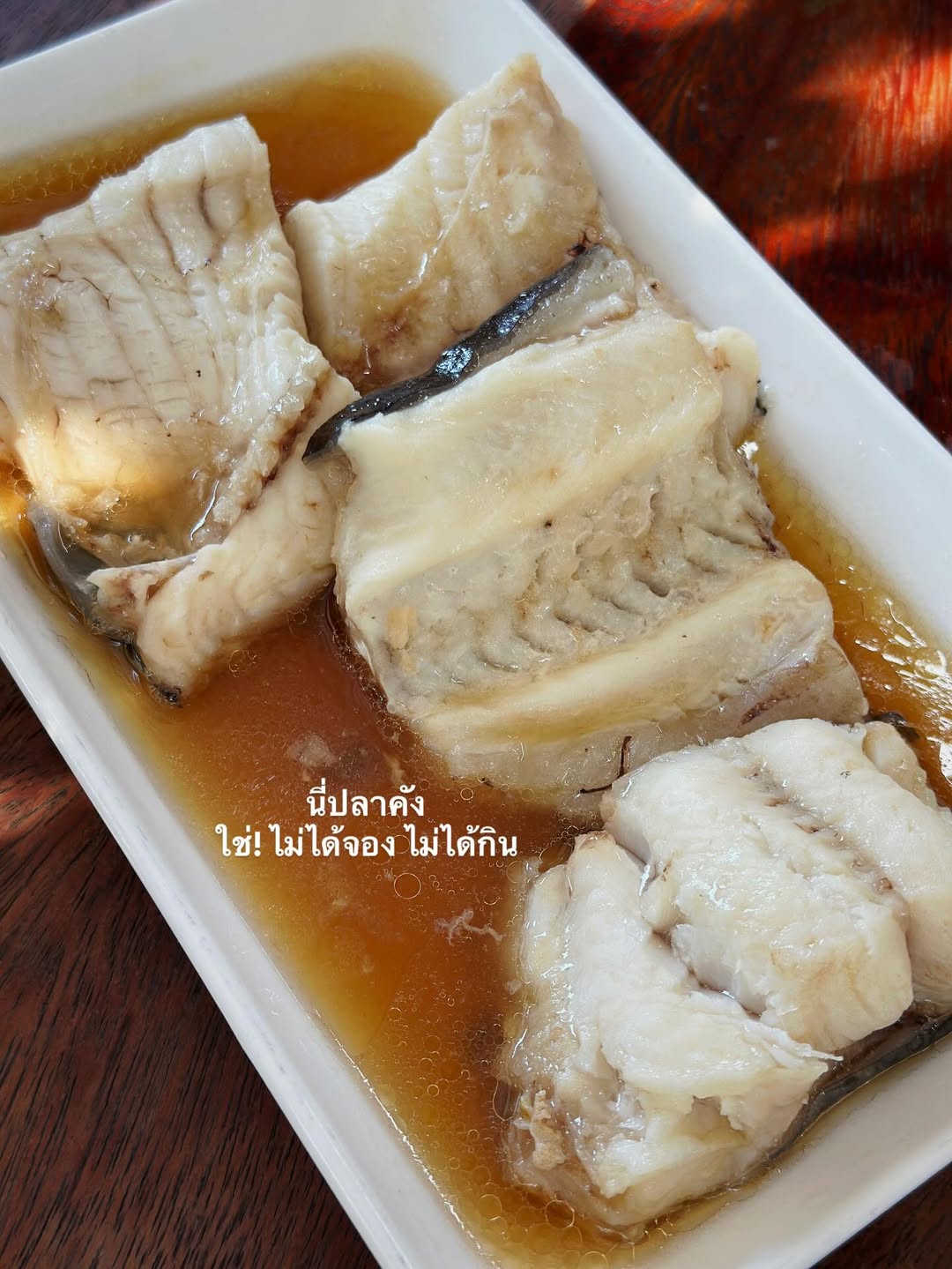 จ๋า - ยศสินี ณ นคร