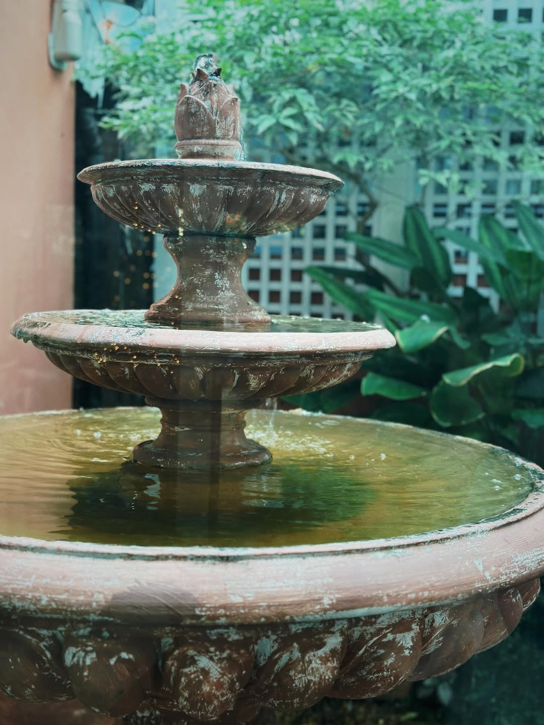 จ๋า - ยศสินี ณ นคร