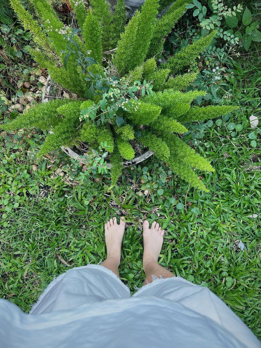 จ๋า - ยศสินี ณ นคร