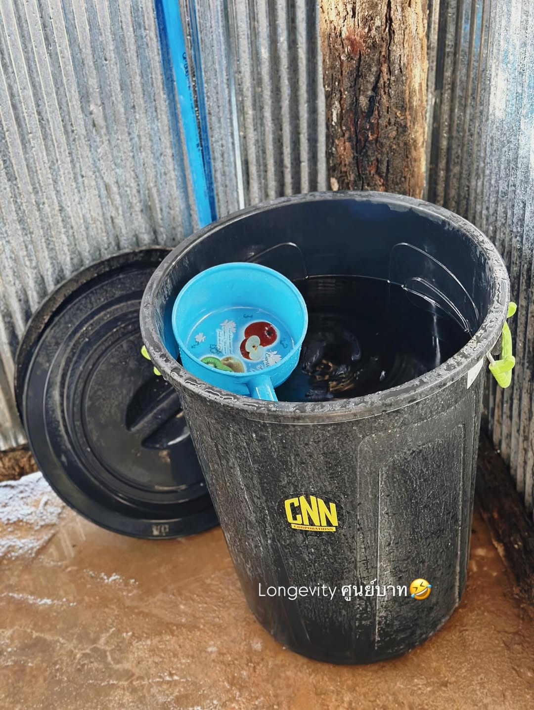 จ๋า - ยศสินี ณ นคร