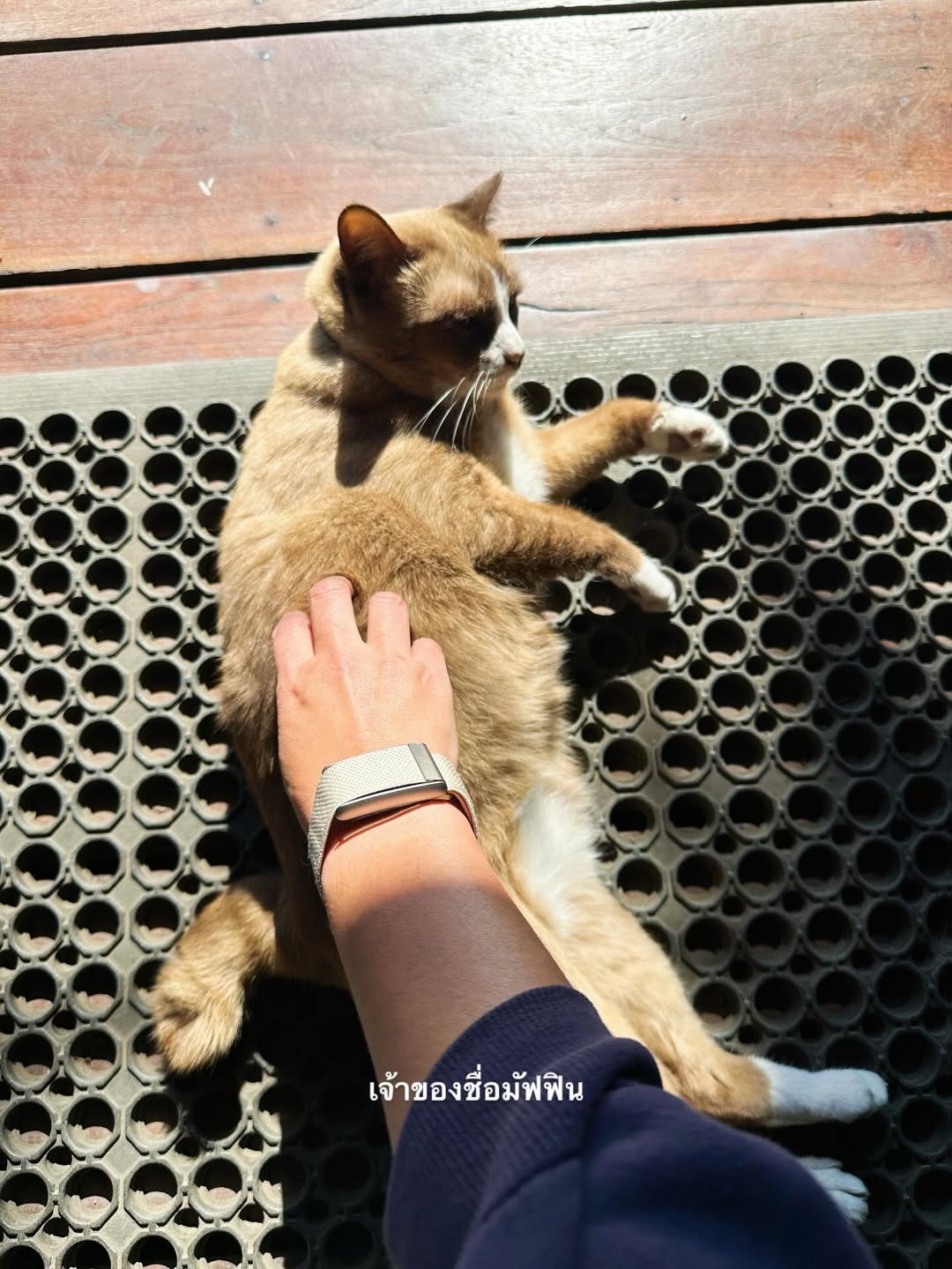 จ๋า - ยศสินี ณ นคร