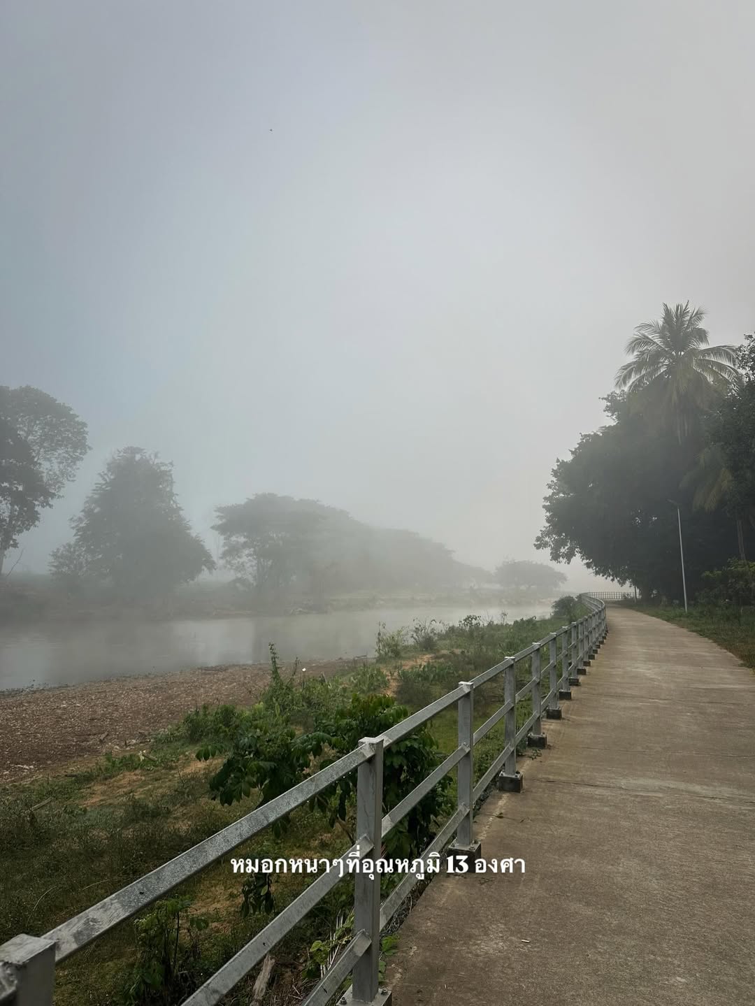 จ๋า - ยศสินี ณ นคร