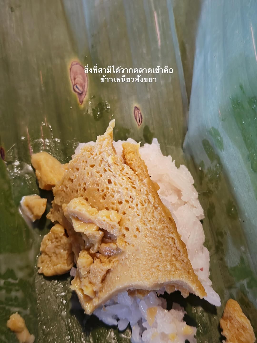 จ๋า - ยศสินี ณ นคร