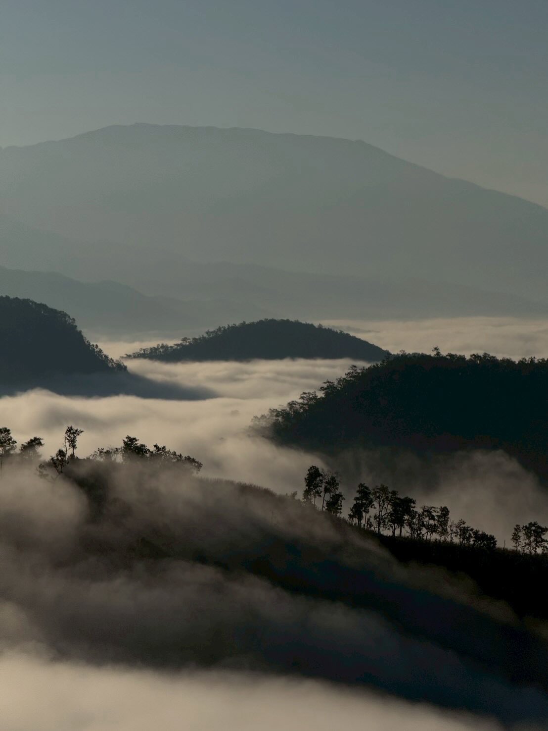 จ๋า - ยศสินี ณ นคร