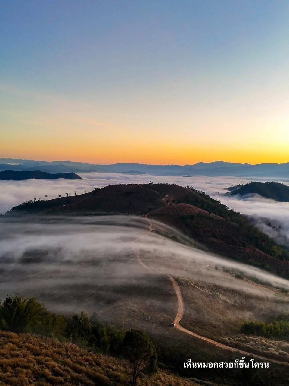 จ๋า - ยศสินี ณ นคร