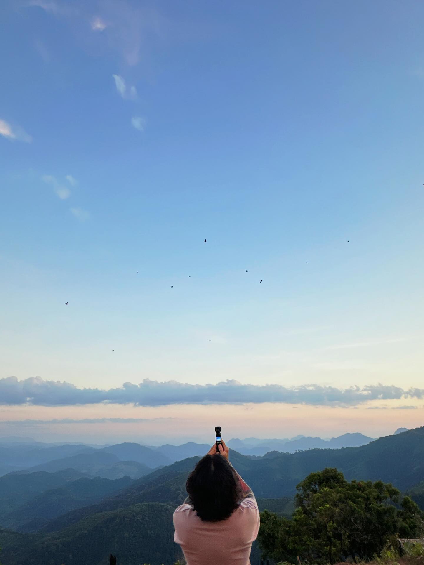 จ๋า - ยศสินี ณ นคร