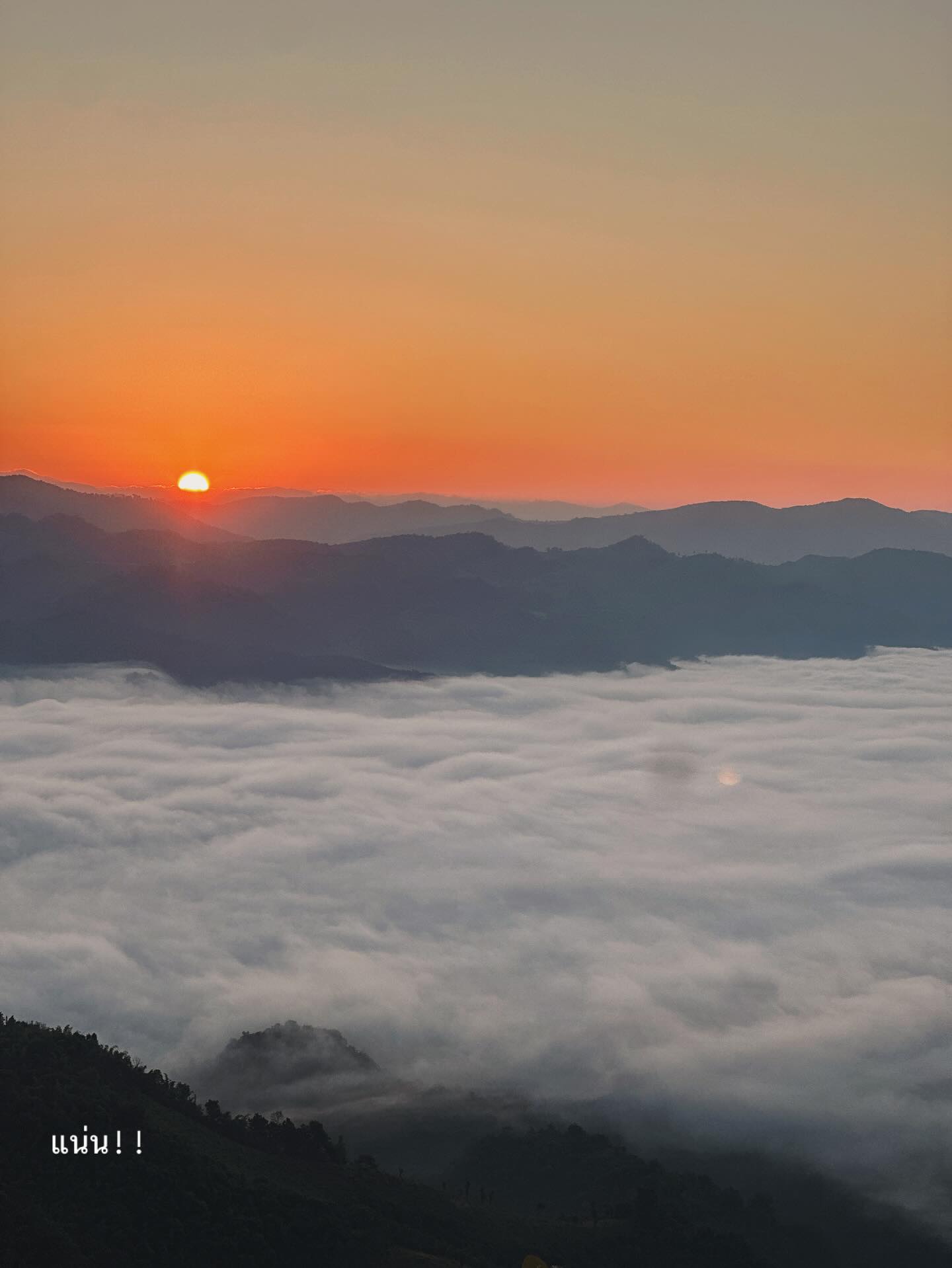 จ๋า - ยศสินี ณ นคร