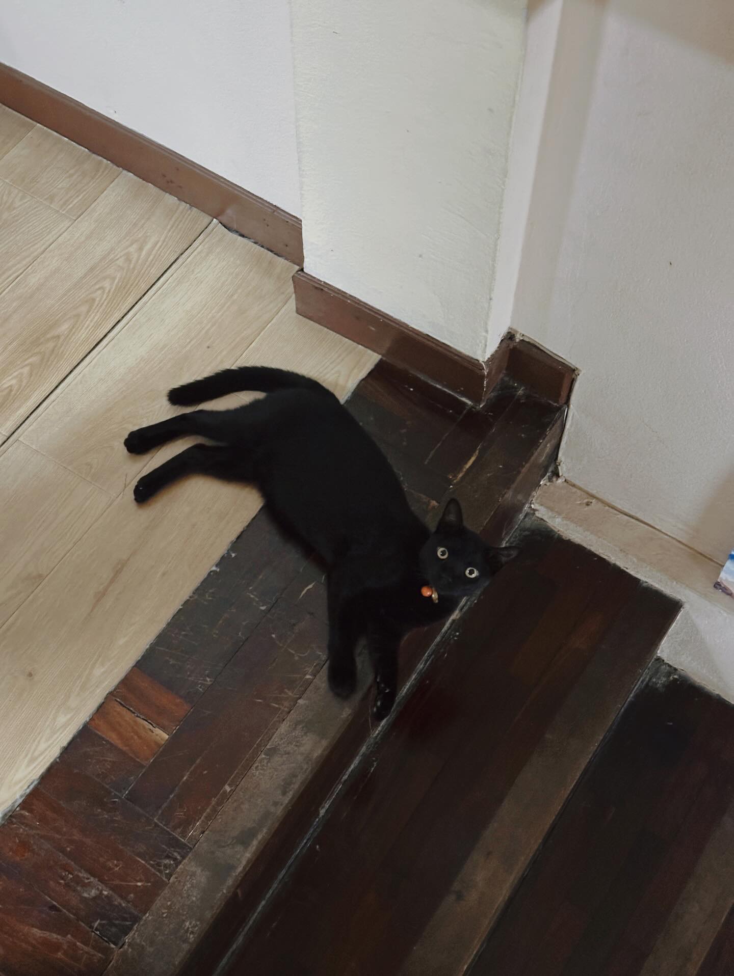 จ๋า - ยศสินี ณ นคร