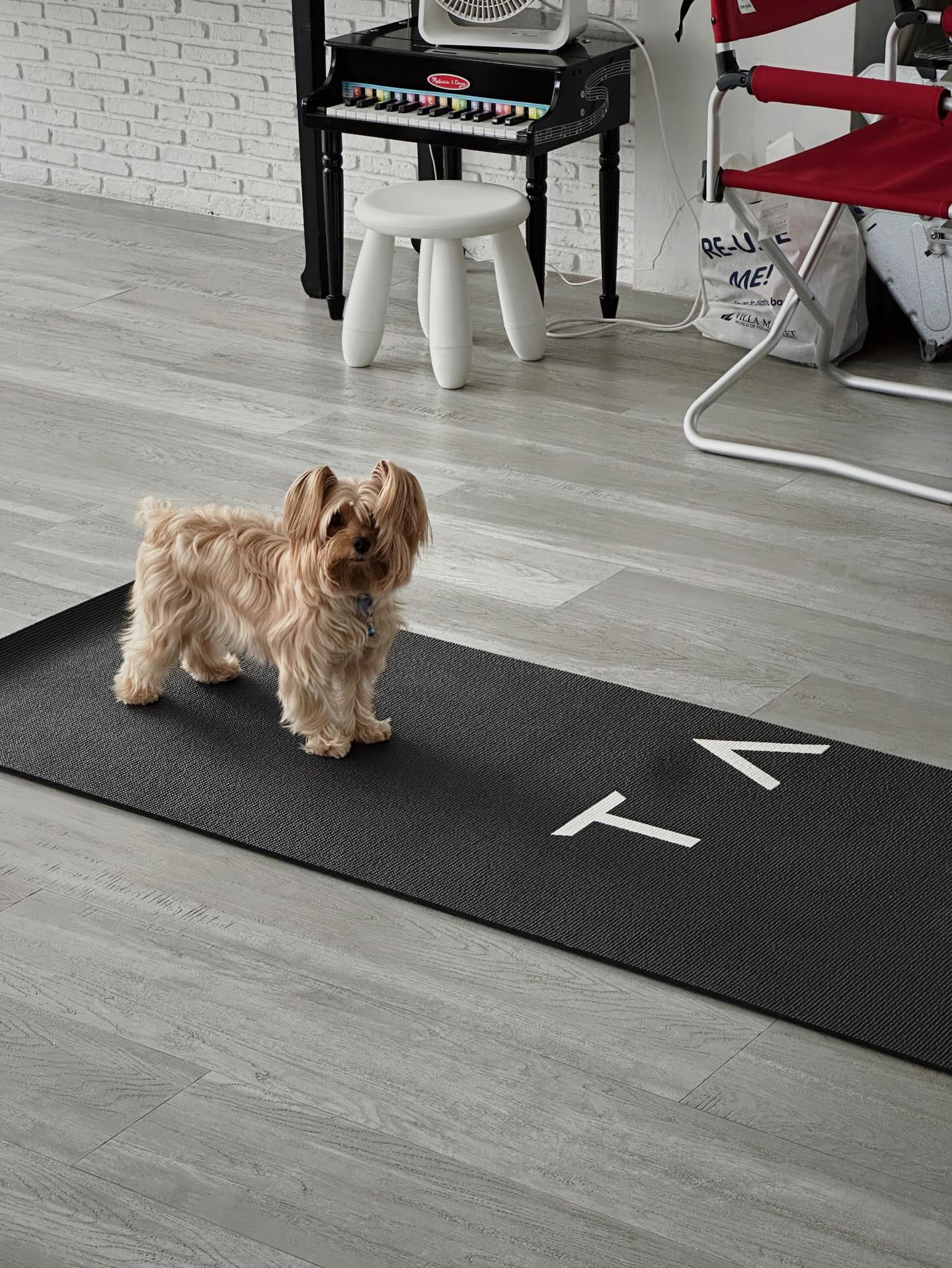 จ๋า - ยศสินี ณ นคร