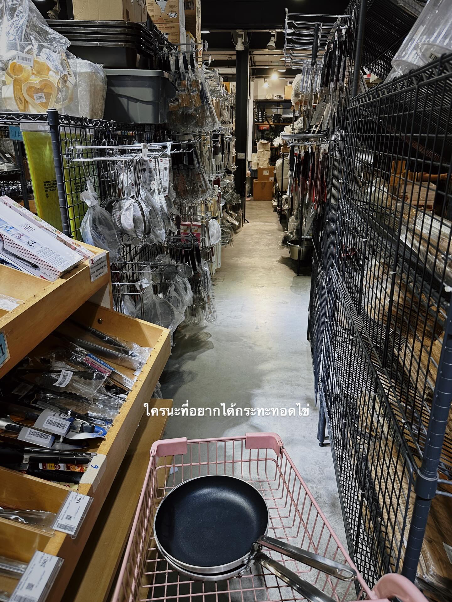 จ๋า - ยศสินี ณ นคร