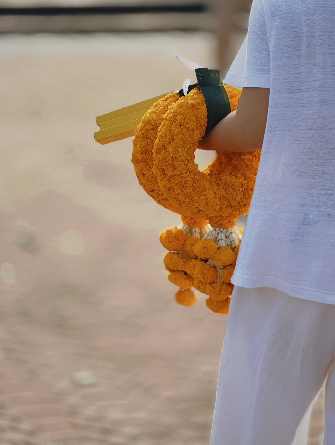 จ๋า - ยศสินี ณ นคร