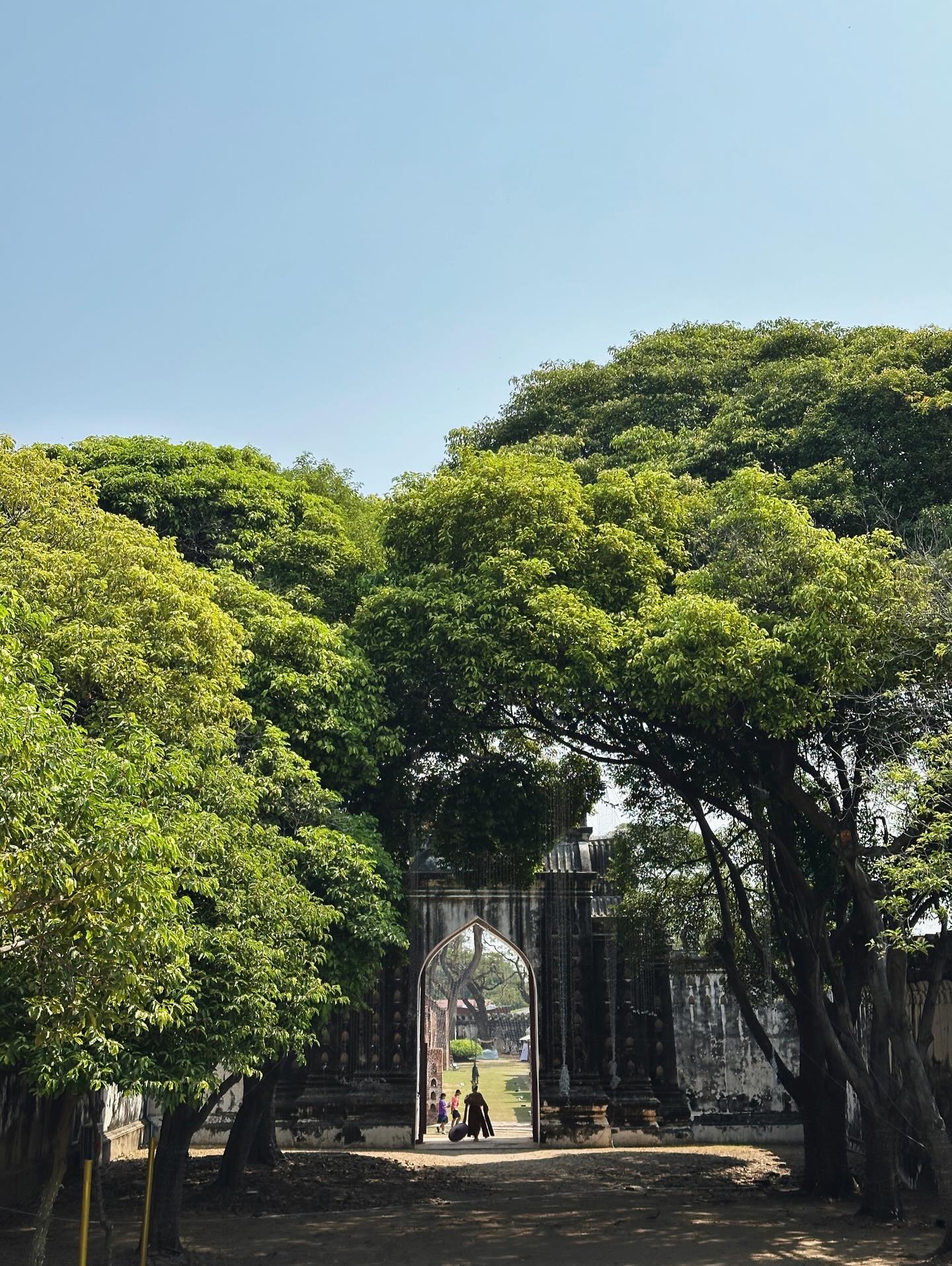 จ๋า - ยศสินี ณ นคร