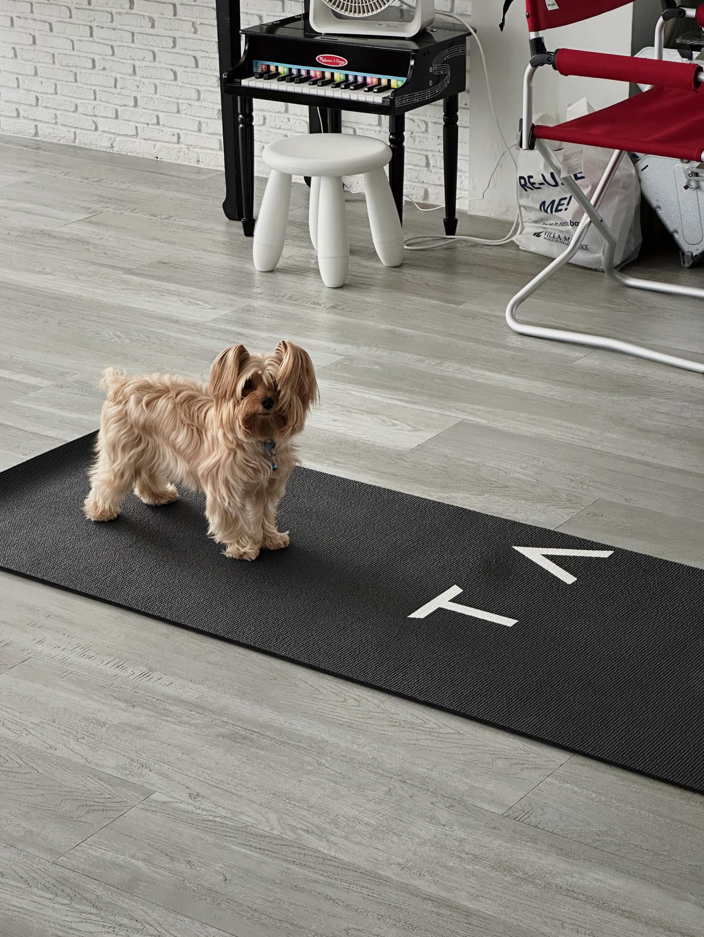 จ๋า - ยศสินี ณ นคร