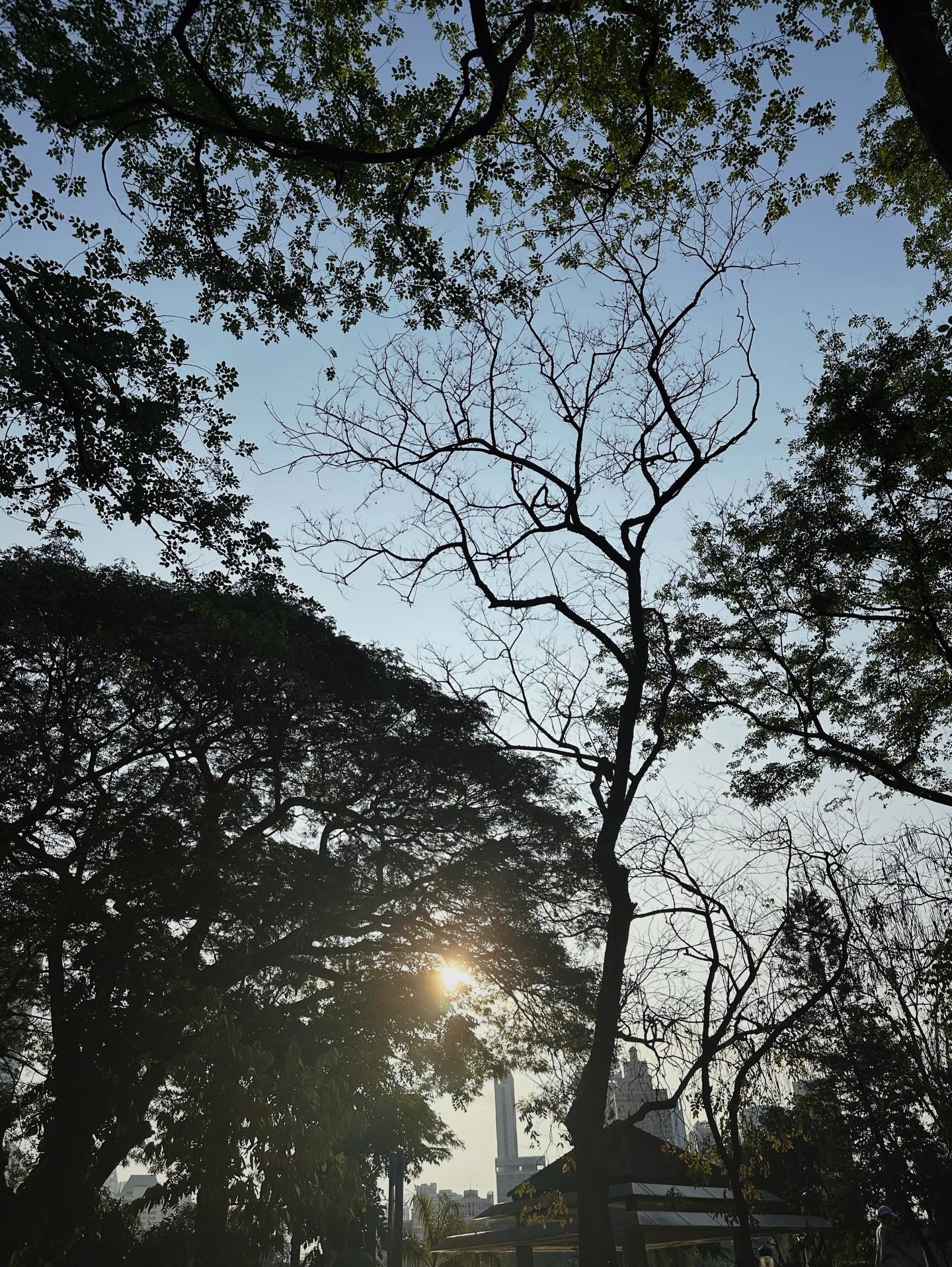 จ๋า - ยศสินี ณ นคร