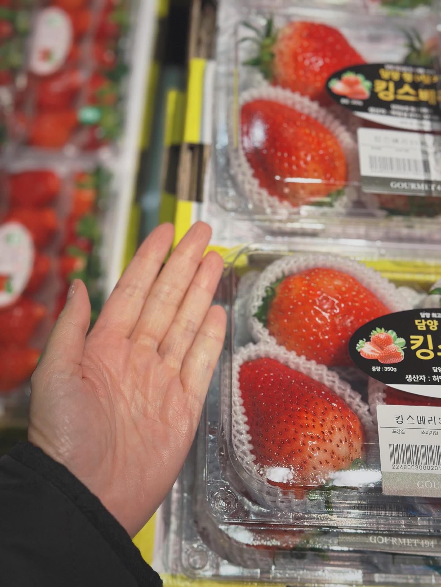 จ๋า - ยศสินี ณ นคร