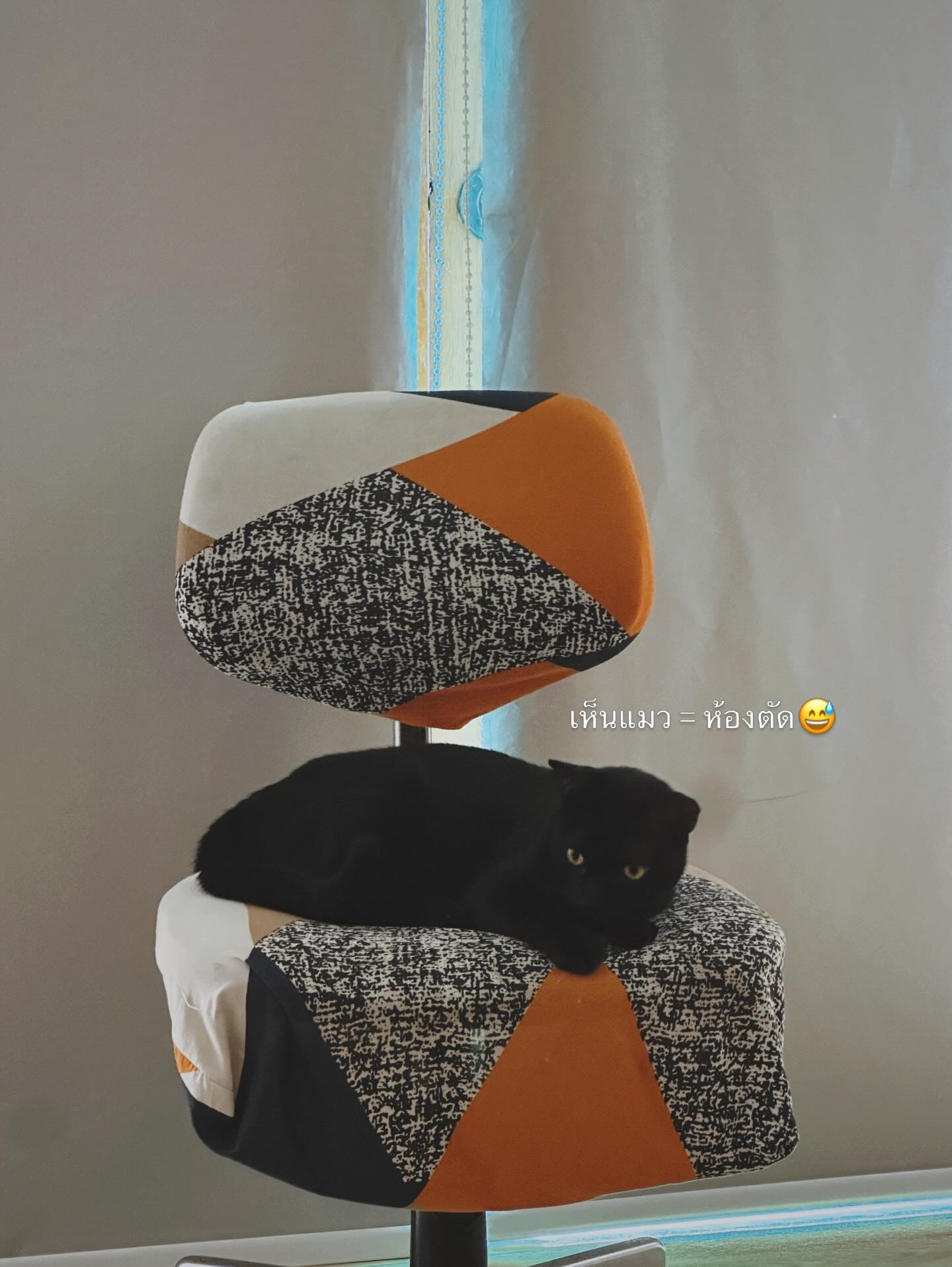 จ๋า - ยศสินี ณ นคร