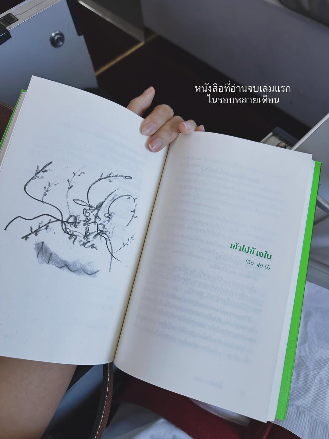 จ๋า - ยศสินี ณ นคร