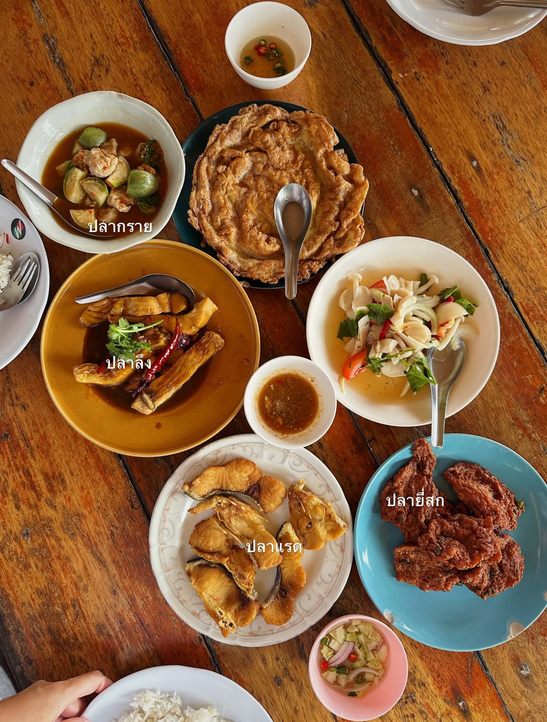จ๋า - ยศสินี ณ นคร