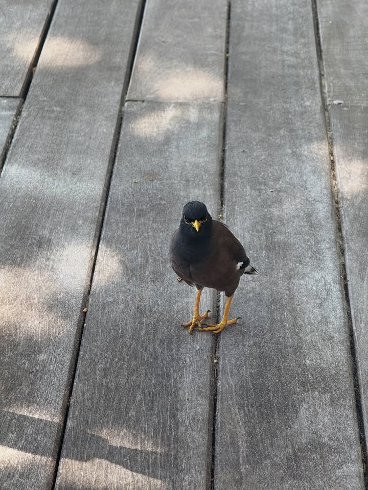 ออม - กรณ์นภัส เศรษฐรัตนพงศ์