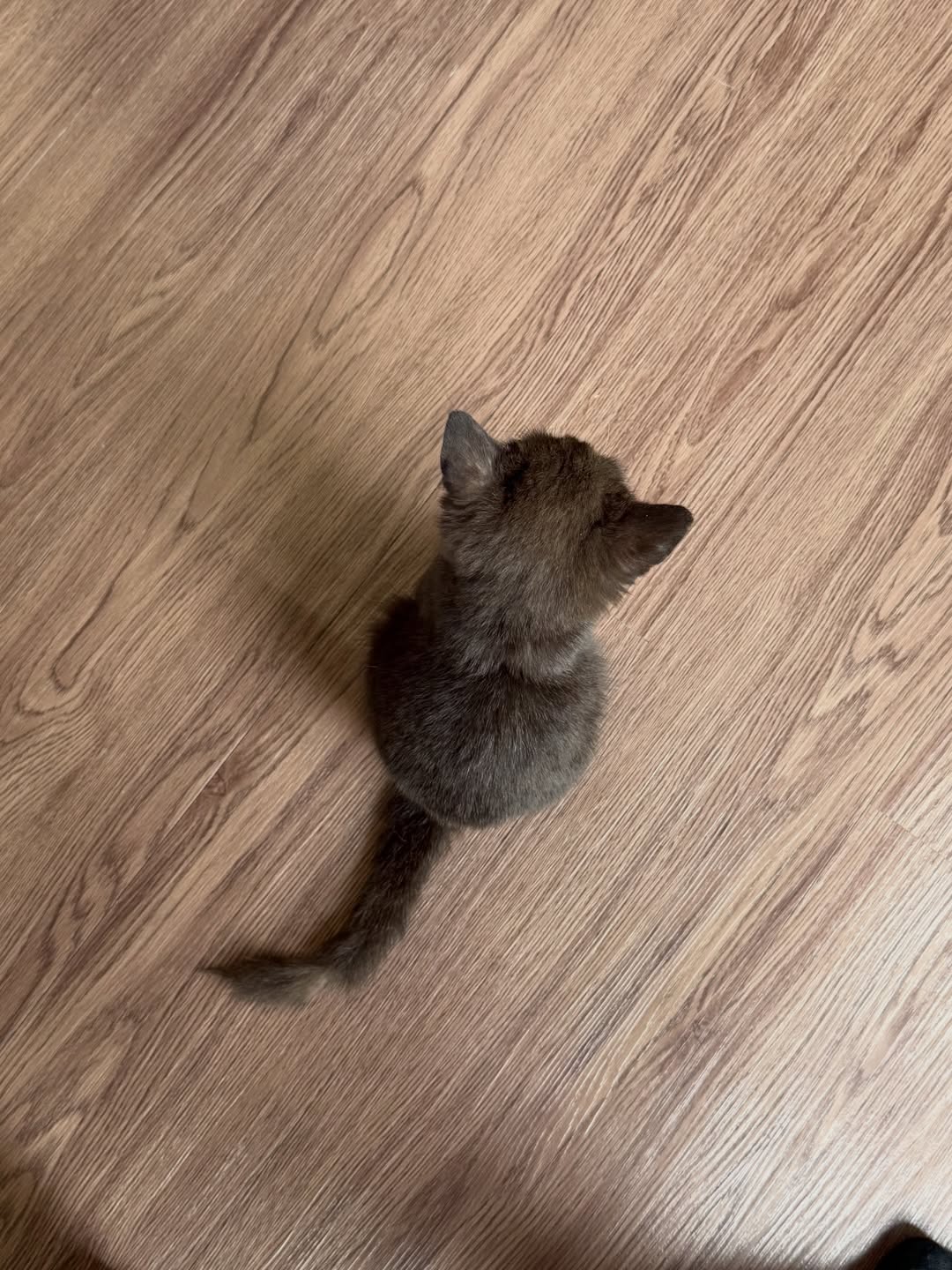 ออม - กรณ์นภัส เศรษฐรัตนพงศ์